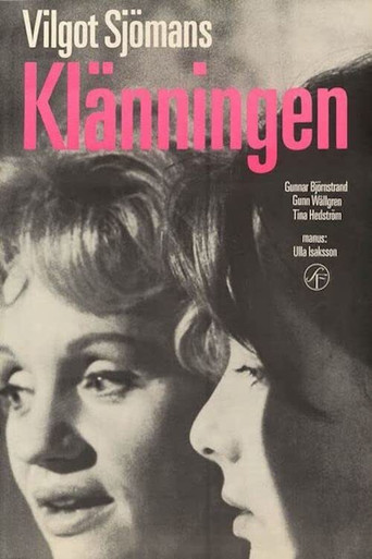 Póster de Klänningen