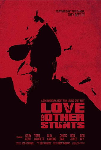 Póster de Love and Other Stunts