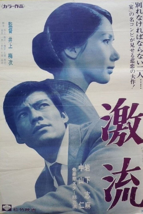 Póster de 激流