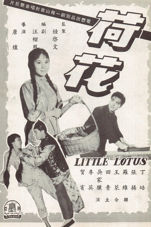 Póster de 荷花