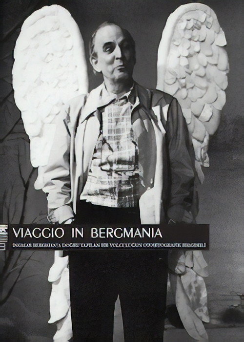 Póster de Bergmanya'ya Yolculuk