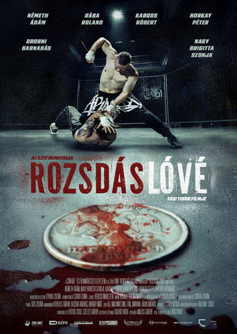 Póster de Rozsdás Lóvé