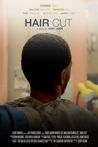 Póster de Haircut