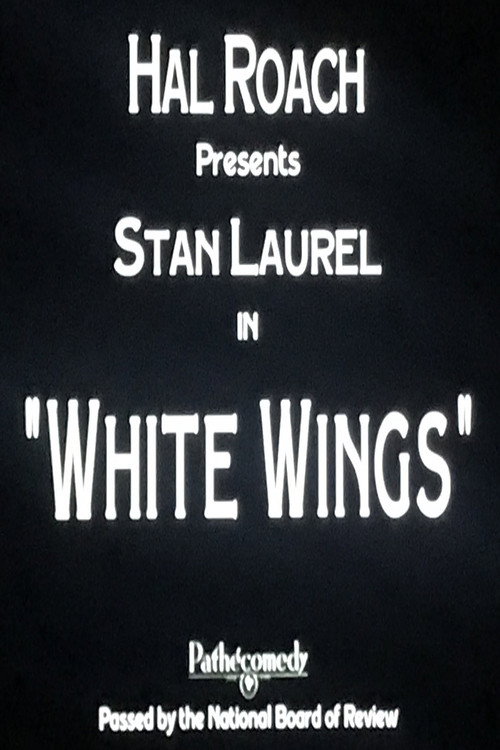 Póster de White Wings