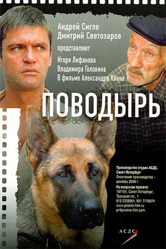 Póster de Поводырь