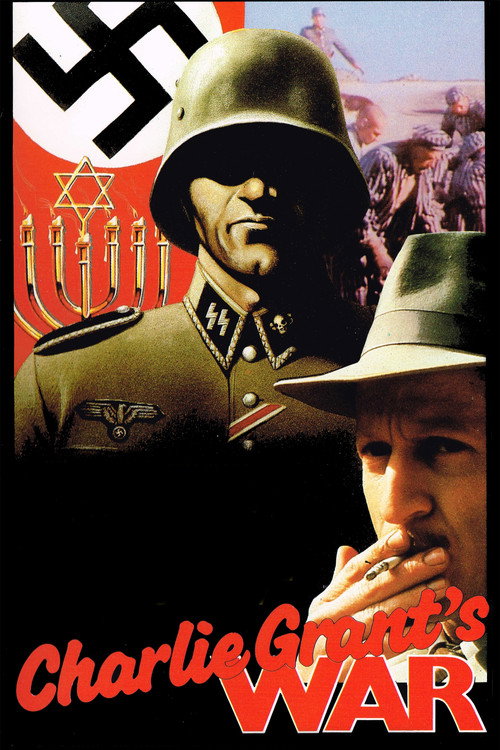 Póster de Charlie Grant's War