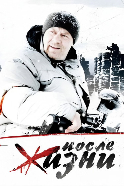 Póster de После жизни