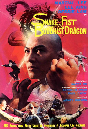 Póster de 少林拳武當劍