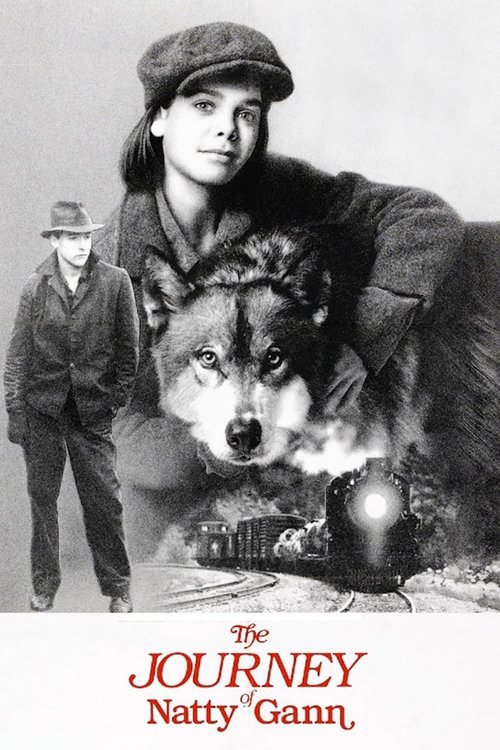 Póster de Natty y el lobo