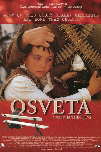 Póster de Revenge