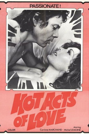 Póster de L'Amour aux trousses