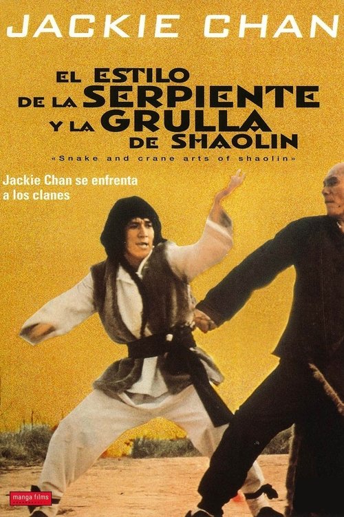 Póster de Artes de Shaolin