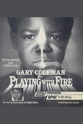 Póster de Playing with Fire