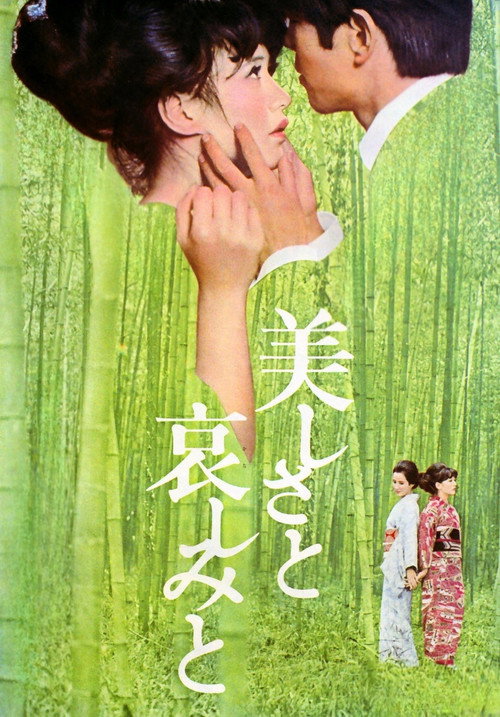 Póster de 美しさと哀しみと