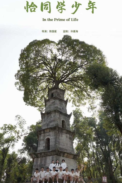 Póster de 恰同学少年