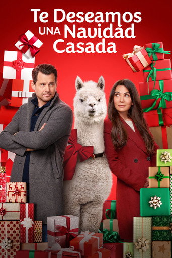Póster de We Wish You a Married Christmas