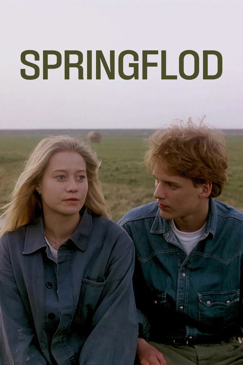 Póster de Springflod
