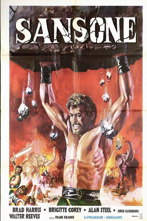 Póster de Sansone