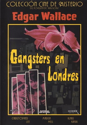 Póster de Das Rätsel der roten Orchidee