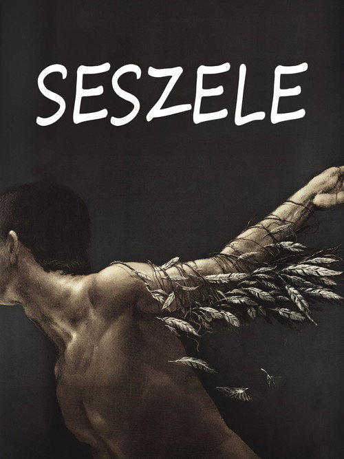 Póster de Seszele