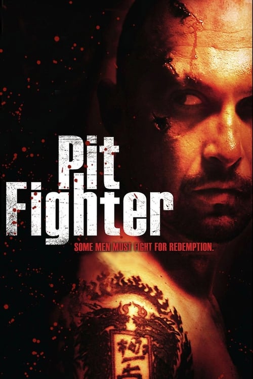 Póster de Pit Fighter