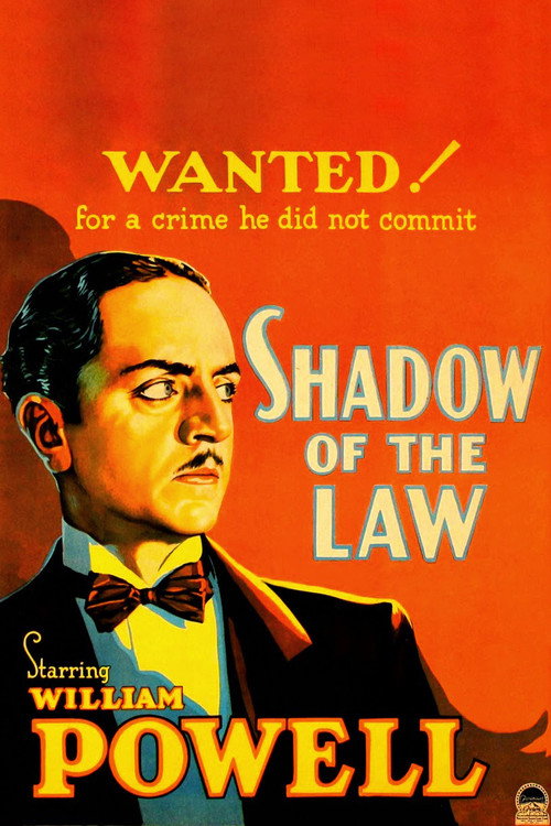 Póster de Shadow of the Law