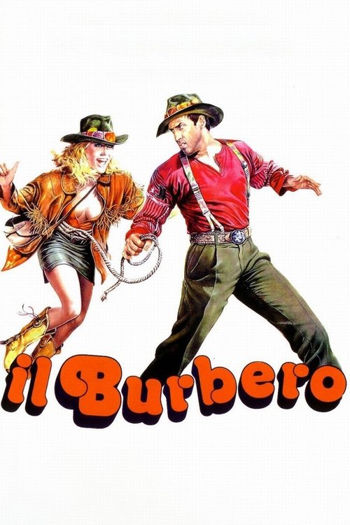 Póster de Il burbero
