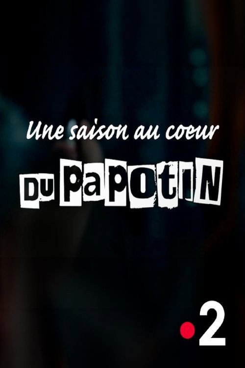 Póster de Au cœur du Papotin