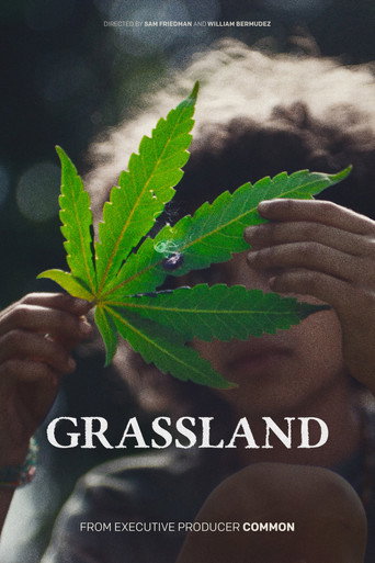 Póster de Grassland