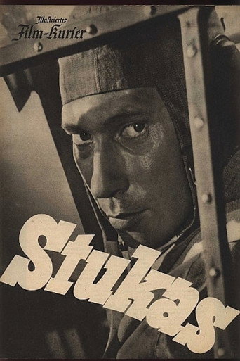 Póster de Stukas