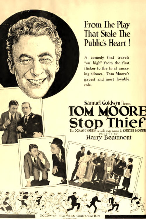 Póster de Stop Thief
