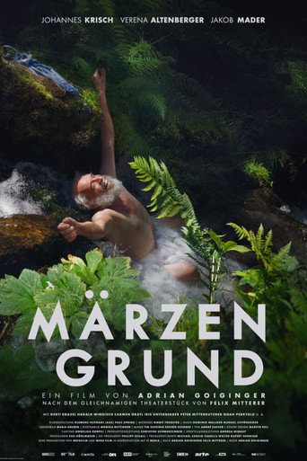 Póster de Märzengrund
