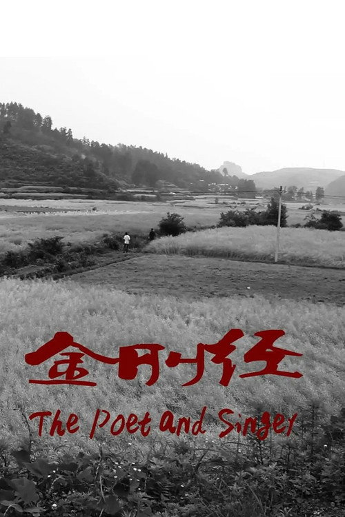 Póster de 金刚经