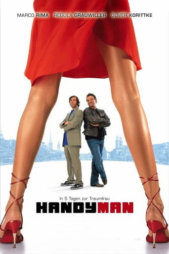Póster de Handyman