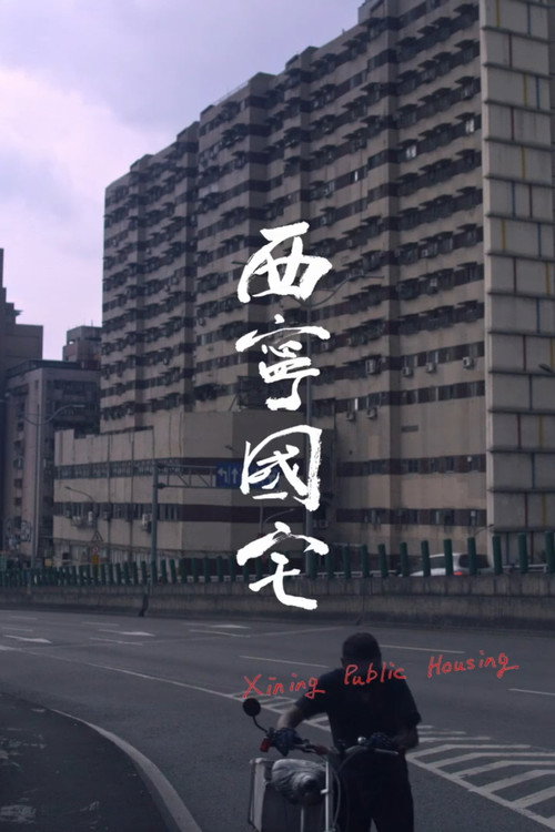 Póster de 西寧國宅