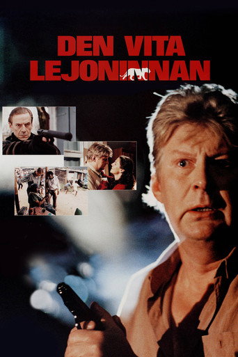 Póster de Den vita lejoninnan
