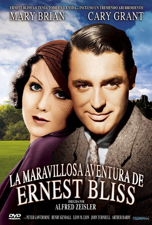 Póster de The Amazing Quest of Ernest Bliss