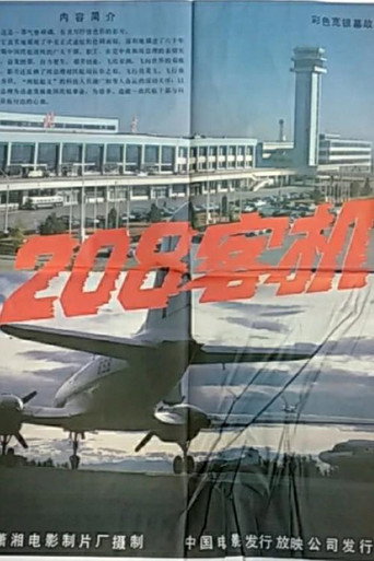 Póster de 208客机