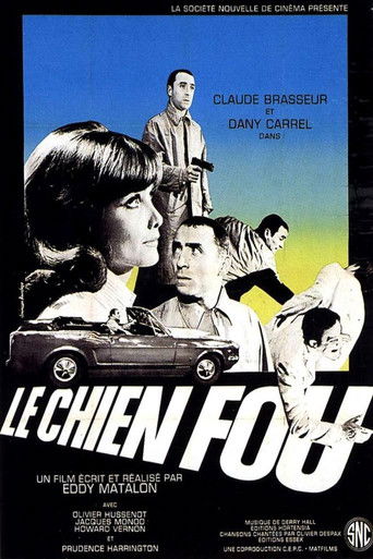 Póster de Le Chien fou