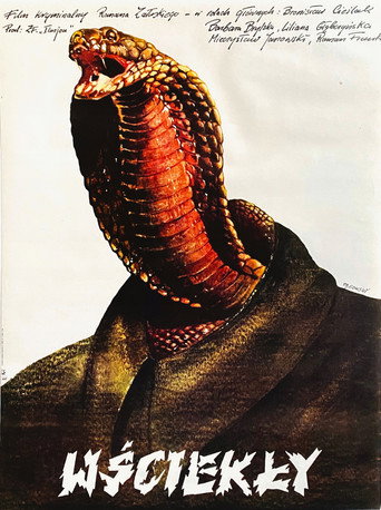 Póster de Wściekły