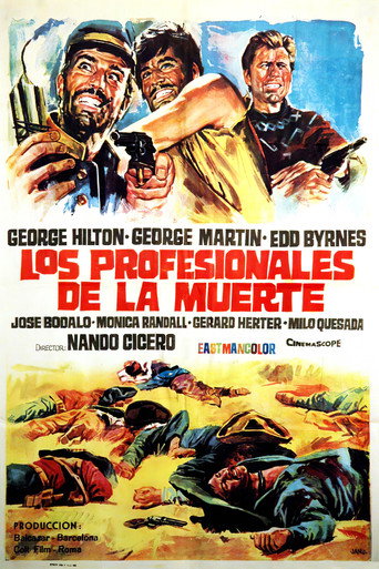 Póster de Professionisti per un massacro