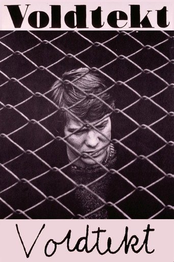 Póster de Voldtekt