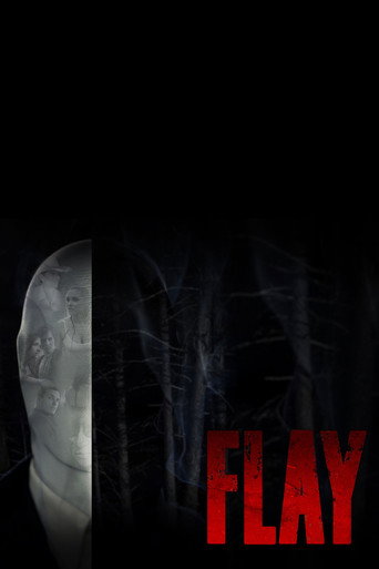 Póster de Flay