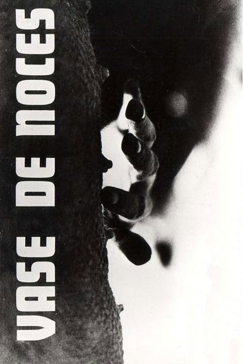 Póster de Vase de Noces