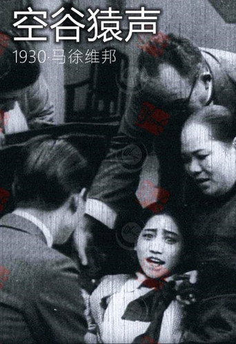 Póster de 空谷猿声