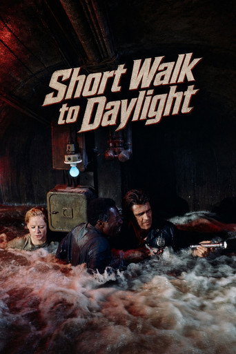 Póster de Short Walk to Daylight
