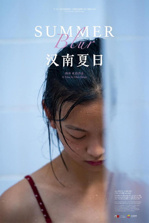 Póster de 汉南夏日