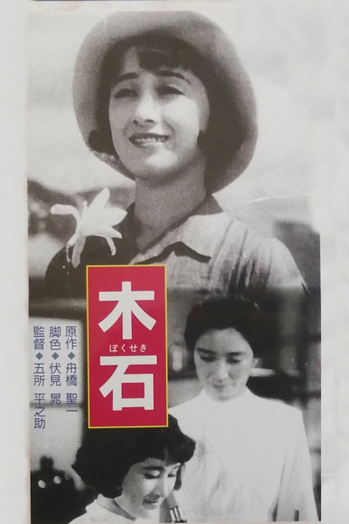 Póster de 木石