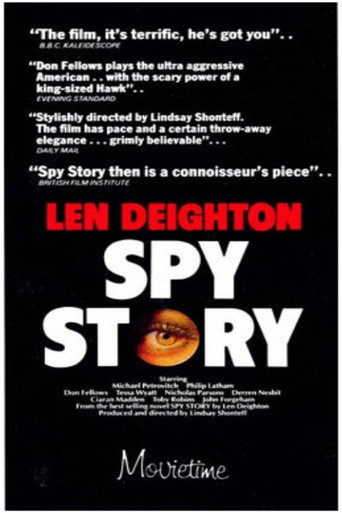 Póster de Spy Story