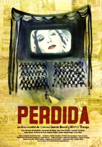 Póster de Perdida